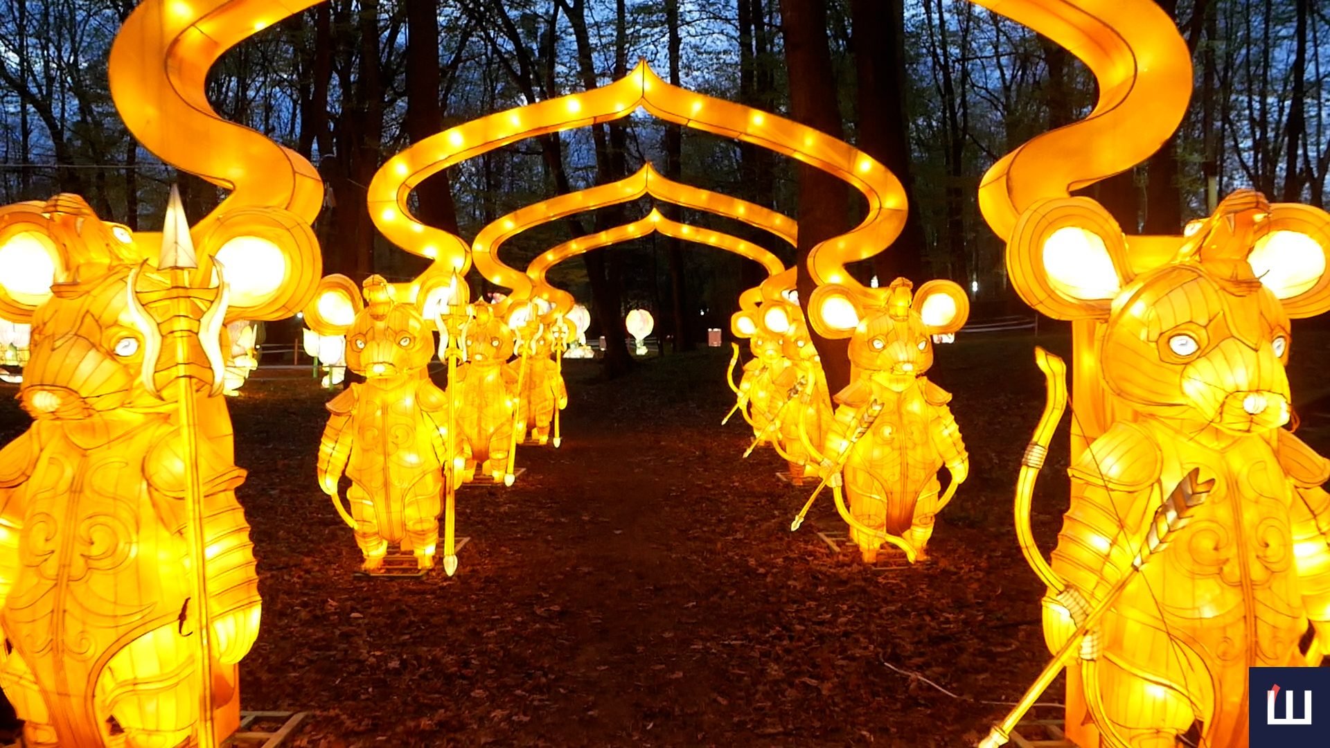 Світ ельфів та чарівних драконів: у Чернівцях відкрився парк світлових фігур