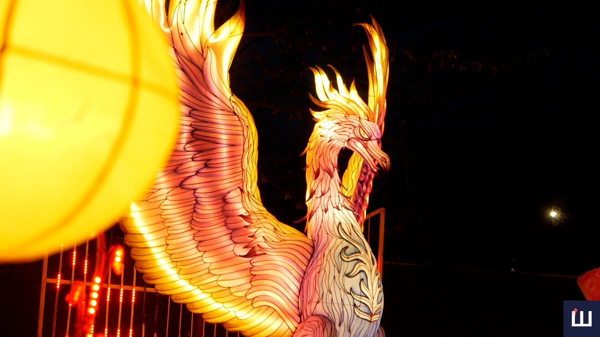 Світ ельфів та чарівних драконів: у Чернівцях відкрився парк світлових фігур