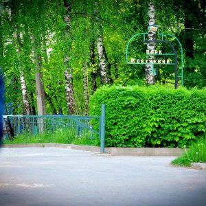 У Чернівцях оброблять від кліщів парки Шевченка та Жовтневий