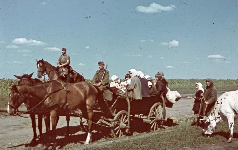 Історія української армії: від козаків до Залужного