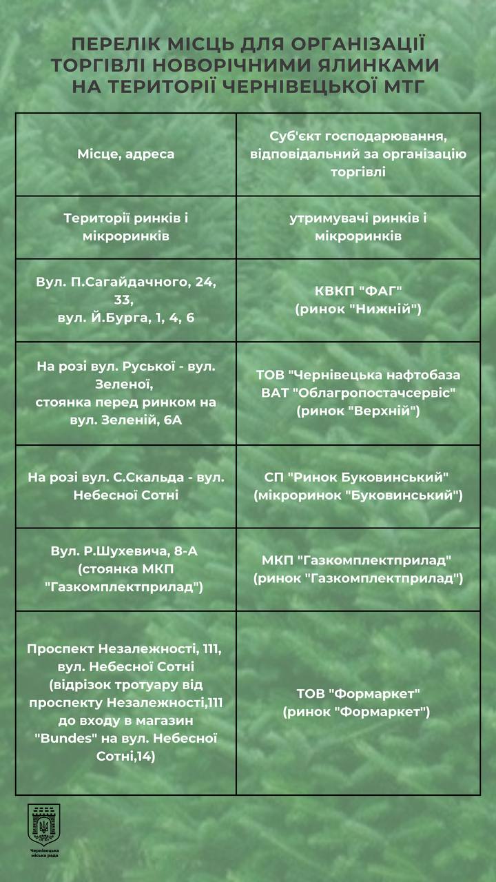 Стало відомо, де у Чернівцях можна придбати новорічну ялинку