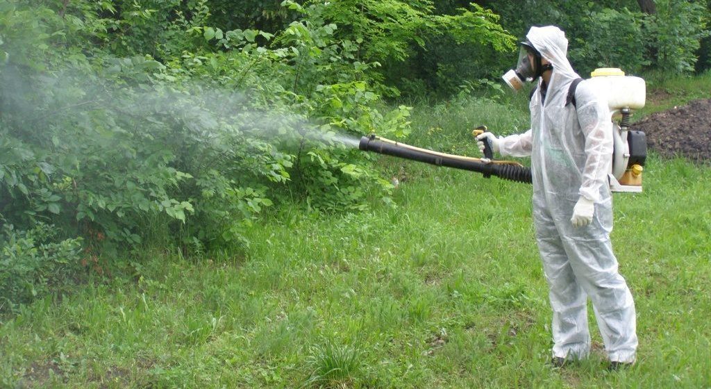 Чернівецькі парки оброблятимуть від кліщів
