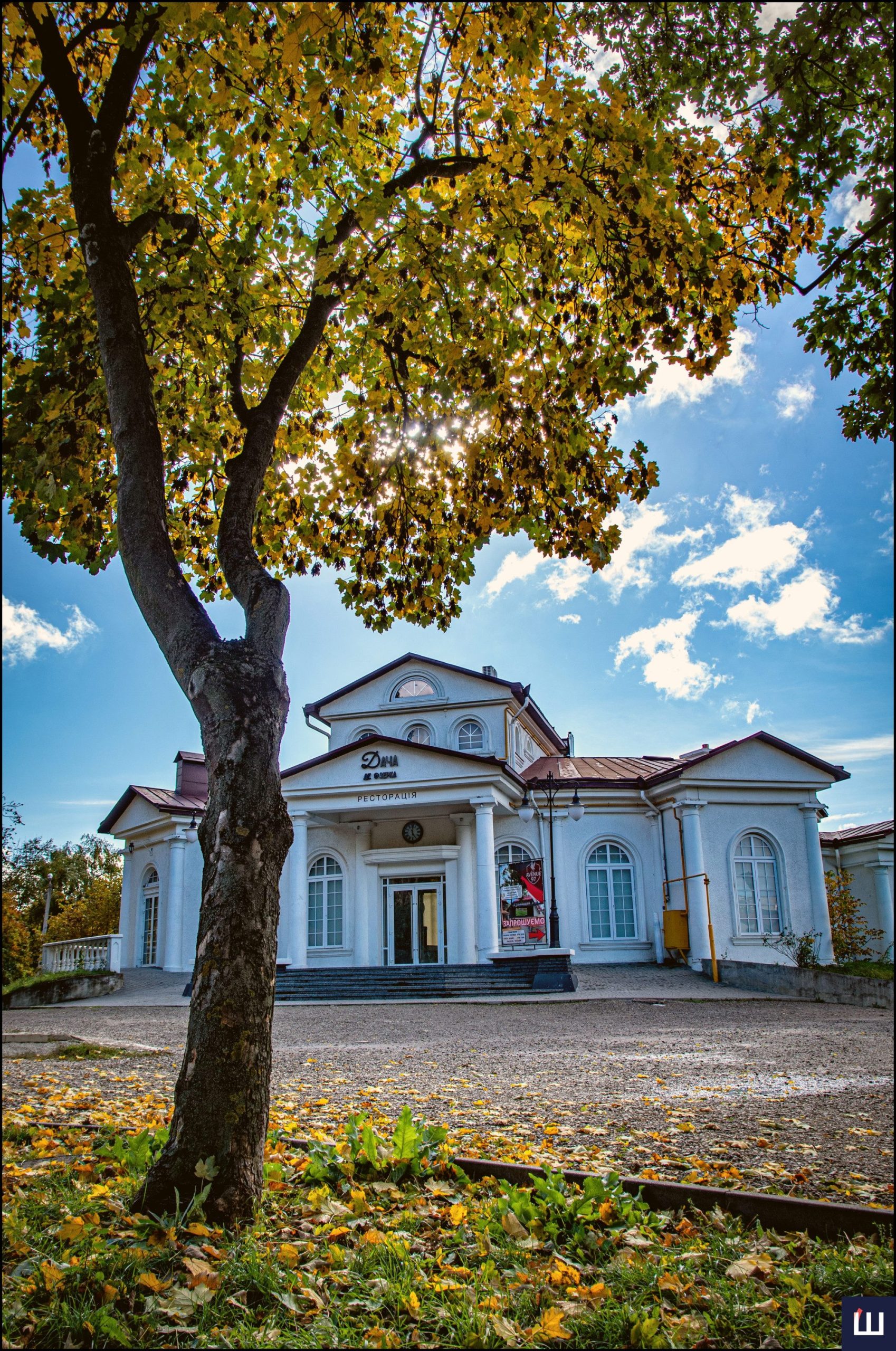Клени запалили вогники: добірка осінніх фото Чернівців