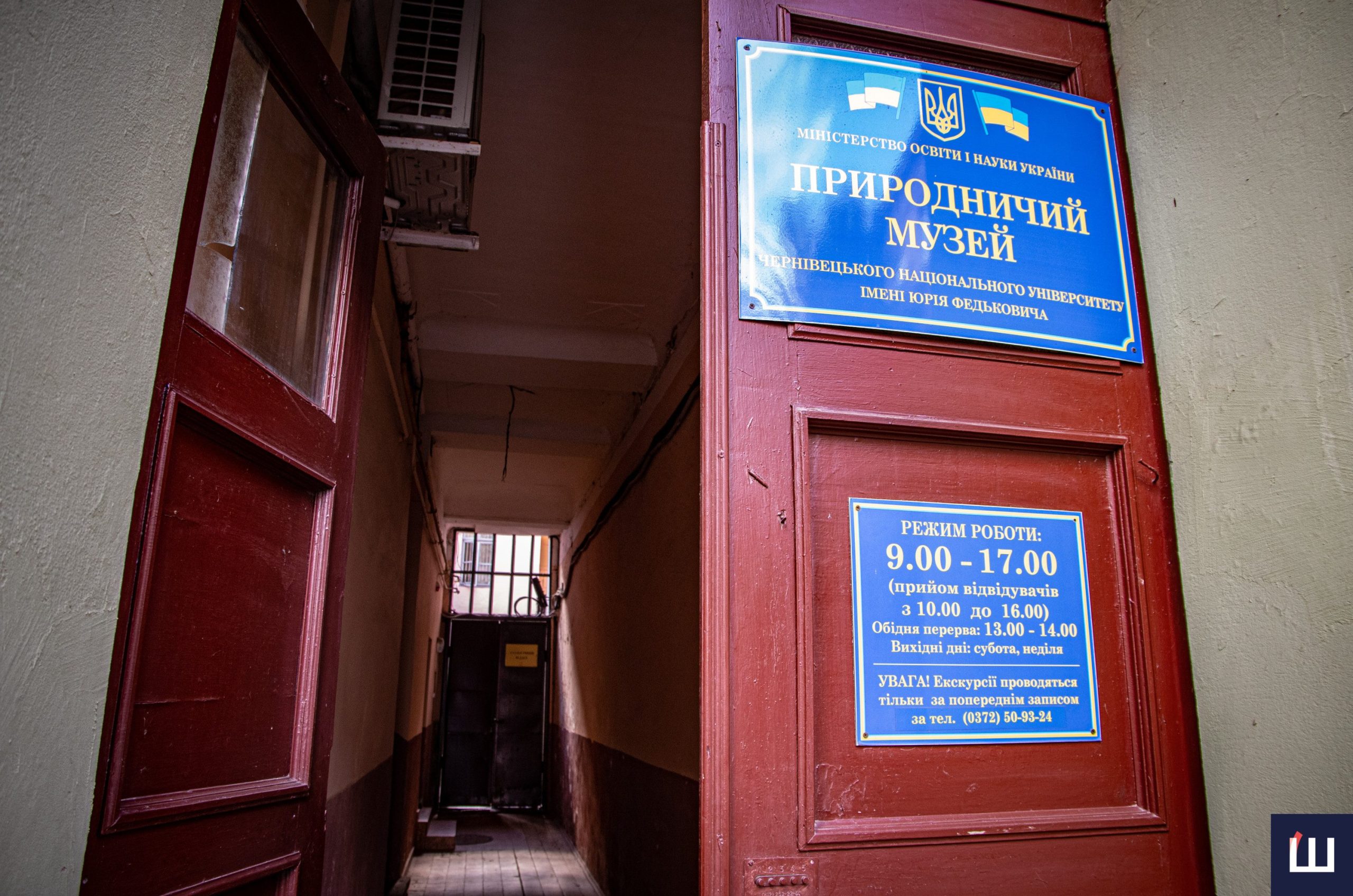 Чернівці в експозиціях: які музеї міста обов'язково треба відвідати