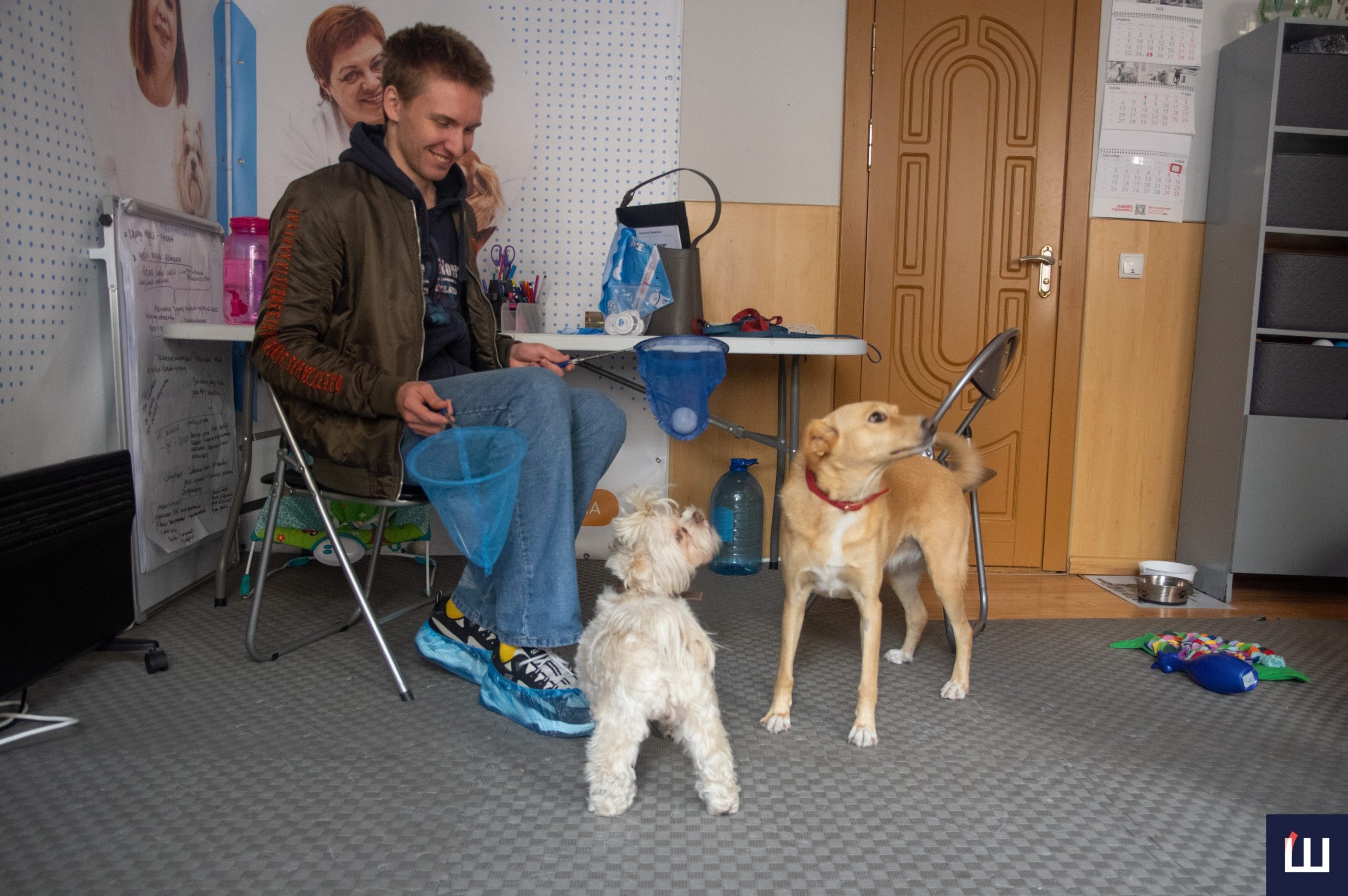 Лікує людина, а тварина у цьому допомагає: як собаки впливають на наше ментальне здоров’я