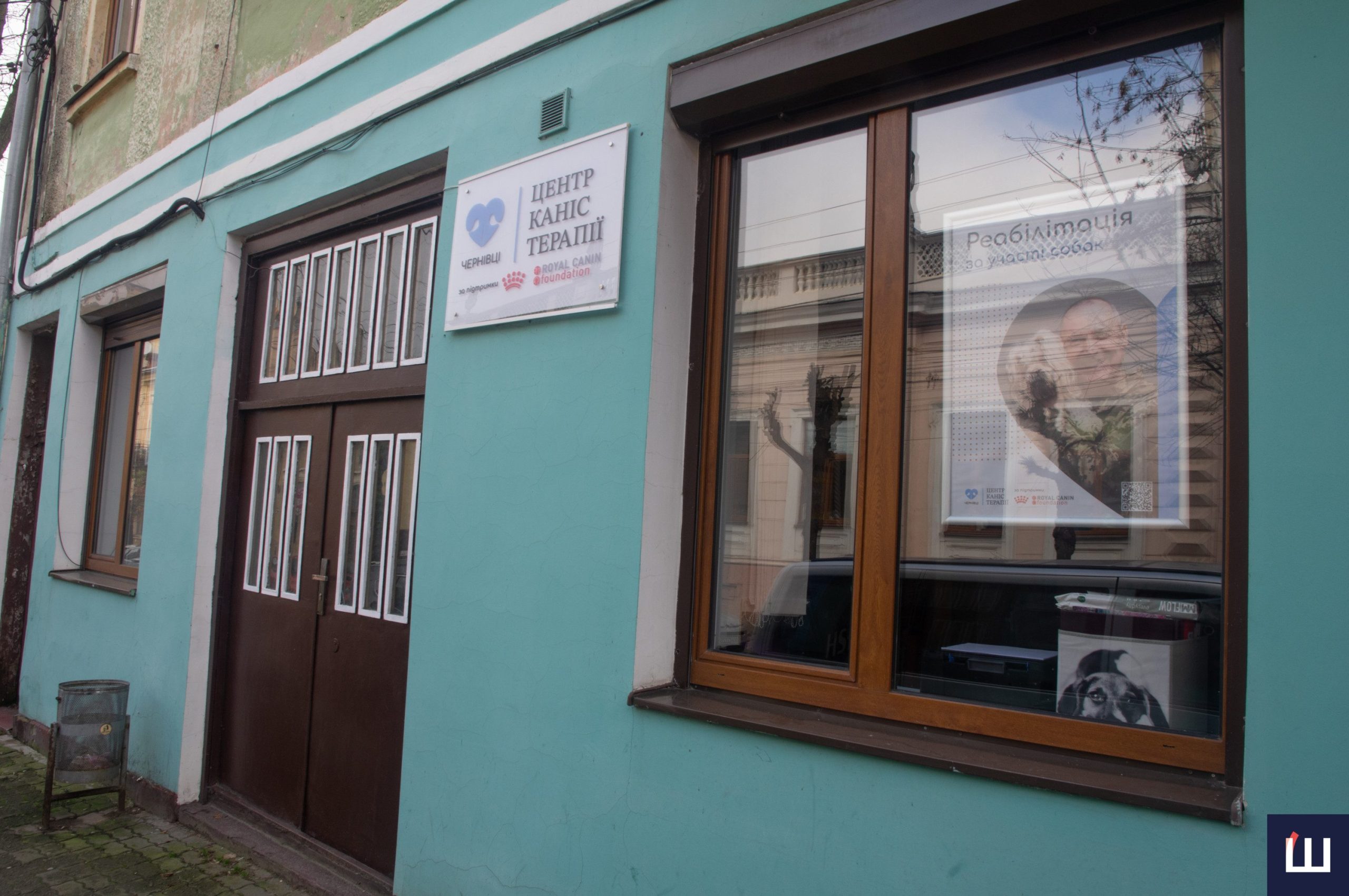 Лікує людина, а тварина у цьому допомагає: як собаки впливають на наше ментальне здоров’я