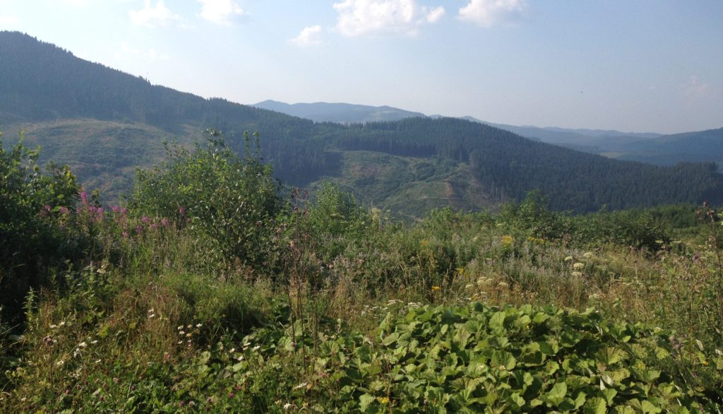 Гірська дорога з дуже крутими поворотами: у Чернівецькій області тимчасово закриють проїзд перевалом «Шурдин»