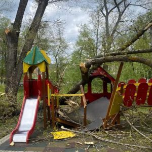 У Новоселиці на дитячий майданчик впало дерево. Травмувалося двоє дітей