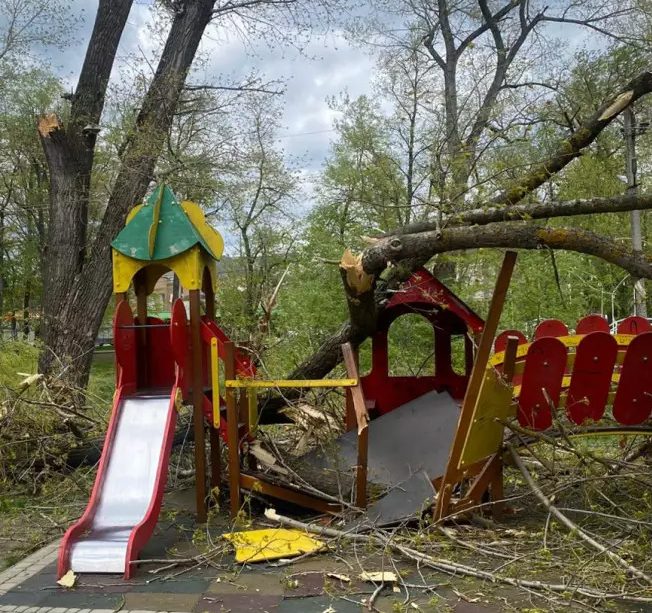 У Новоселиці на дитячий майданчик впало дерево. Травмувалося двоє дітей