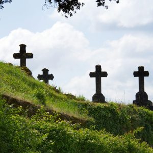 При житті квіти дарували, а що після смерти: хто доглядає за могилами відомих людей на цвинтарях Чернівців